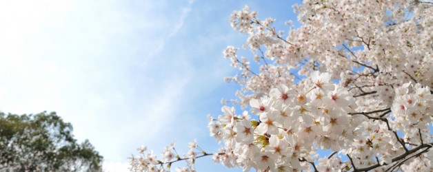Ei iudico iuvaret abhorr eantusu